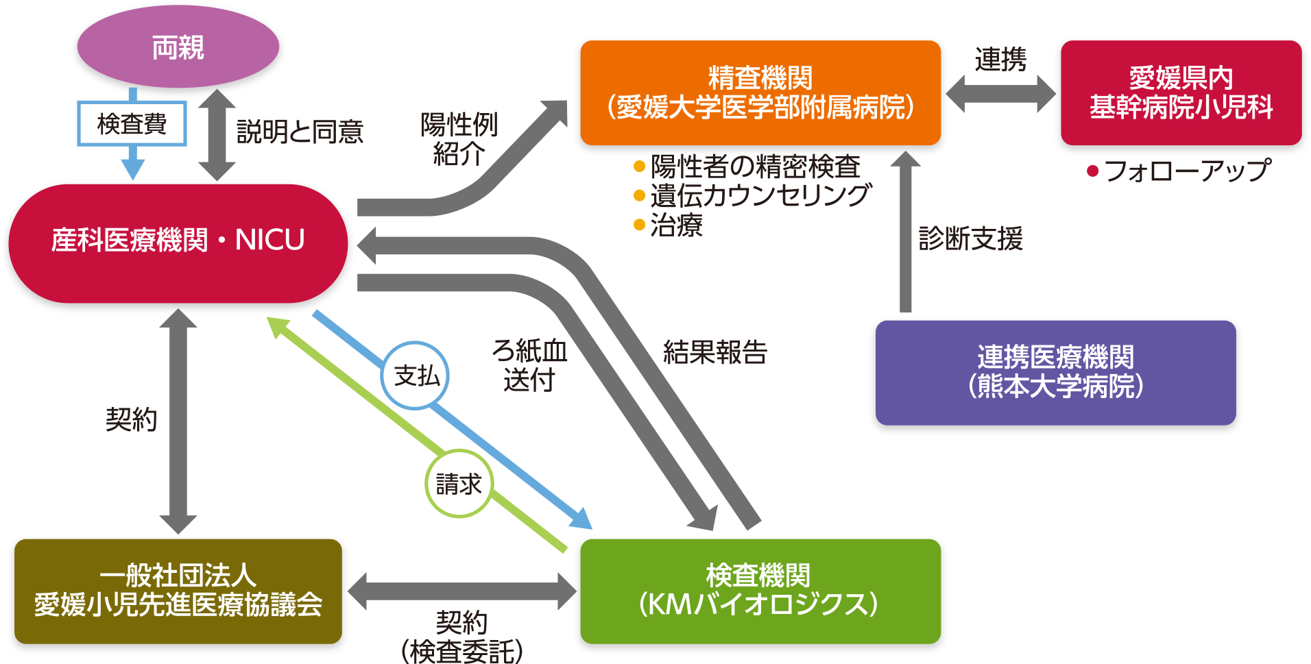 図1　愛媛県における拡大新生児スクリーニングの実施体制