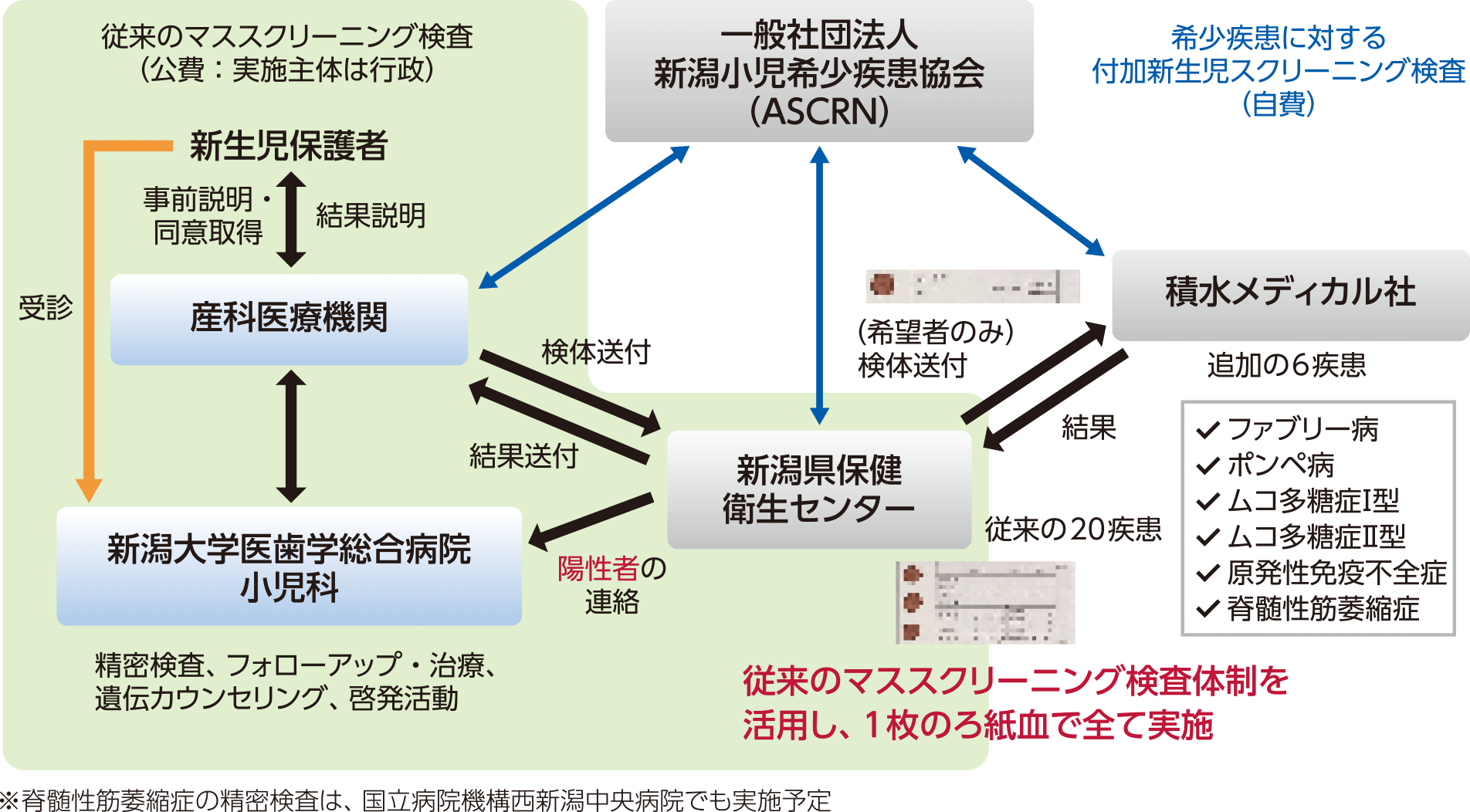 図2　新潟県内の新生児スクリーニング検査実施体制