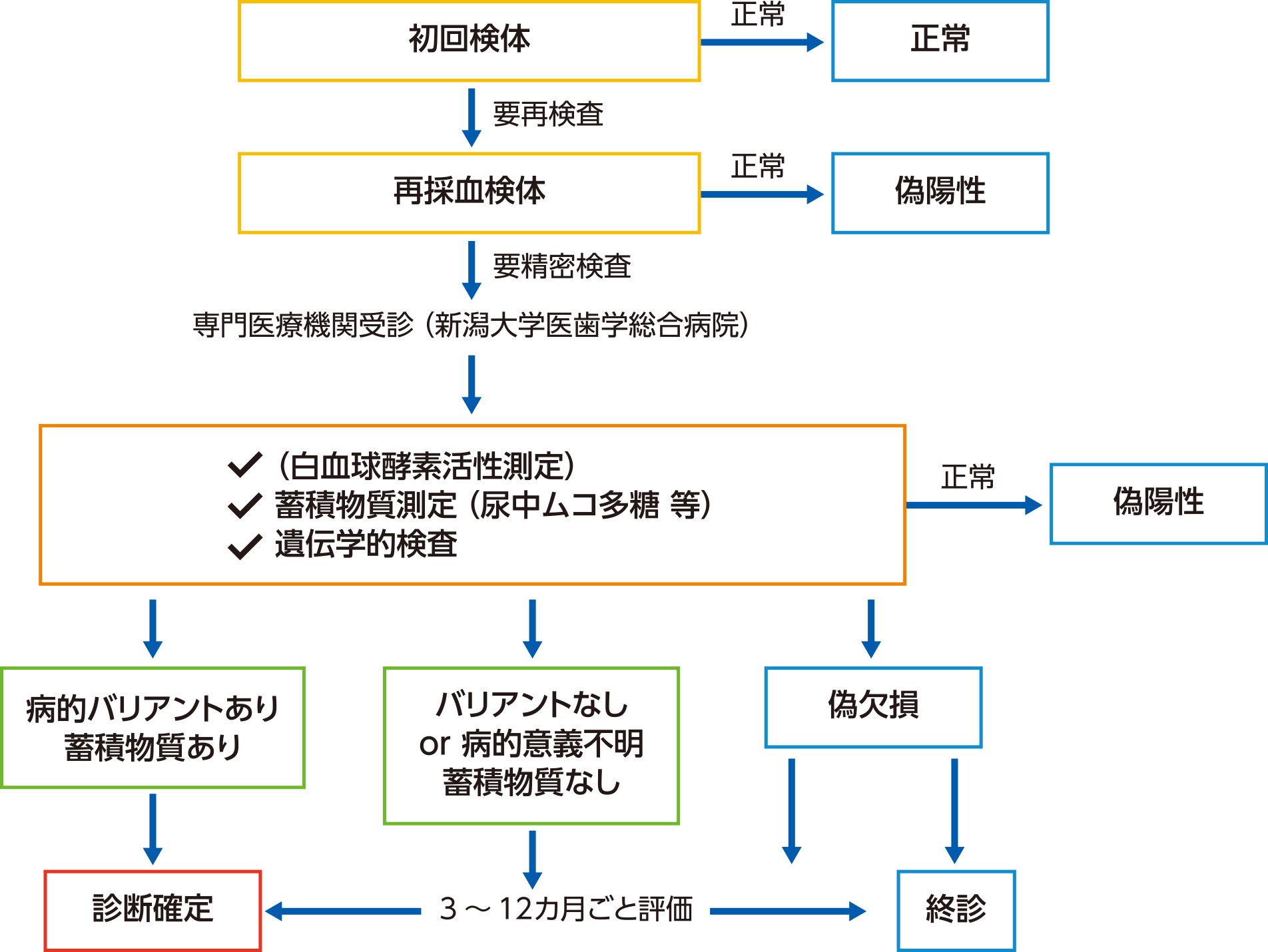 図3　ライソゾーム病の検査フロー